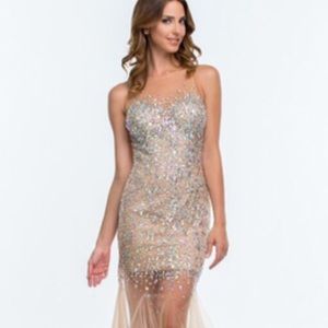 Terani Couture Prom Dress